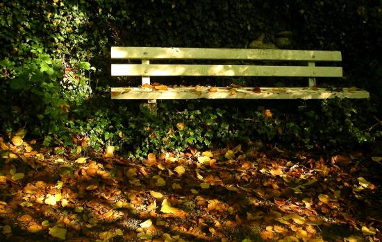 verlassen-im-herbst.jpg